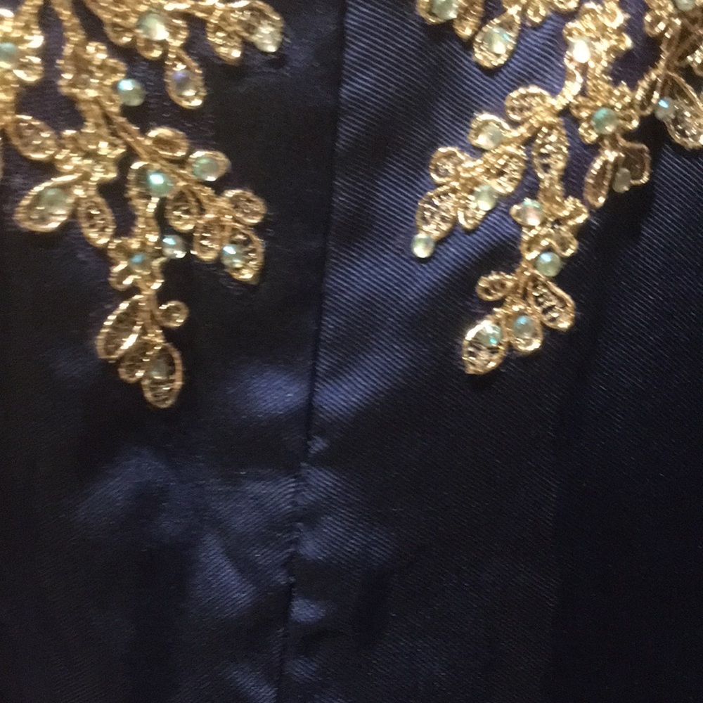 Jasmine Embellished Gown (Navy)